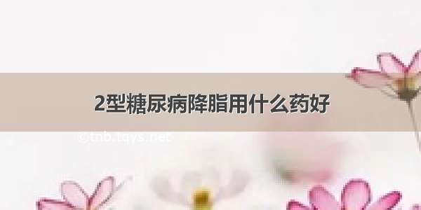 2型糖尿病降脂用什么药好