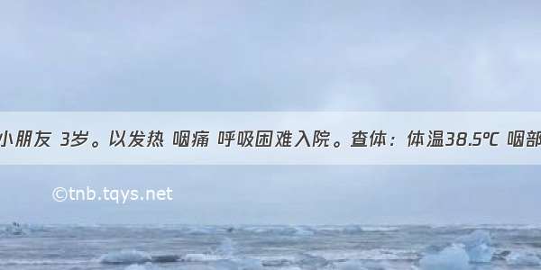 某幼儿园小朋友 3岁。以发热 咽痛 呼吸困难入院。查体：体温38.5℃ 咽部及扁桃体