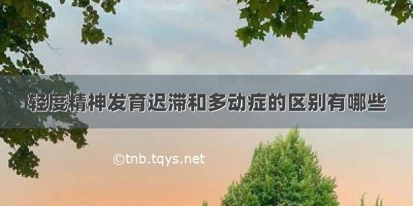 轻度精神发育迟滞和多动症的区别有哪些