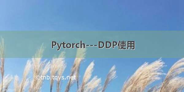 Pytorch---DDP使用