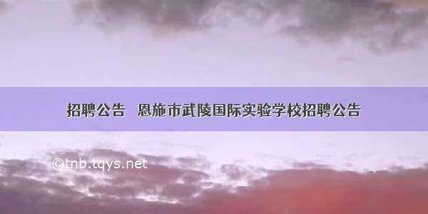 招聘公告 ▏恩施市武陵国际实验学校招聘公告