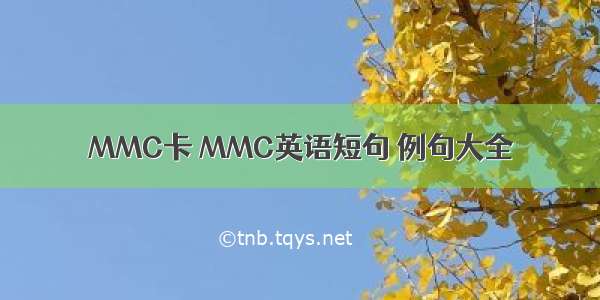 MMC卡 MMC英语短句 例句大全