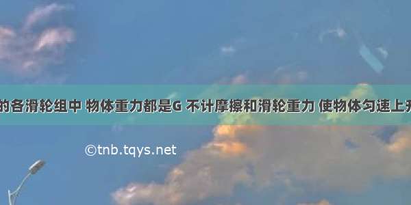 如图所示的各滑轮组中 物体重力都是G 不计摩擦和滑轮重力 使物体匀速上升 拉力F最