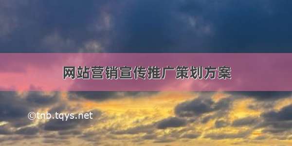 网站营销宣传推广策划方案