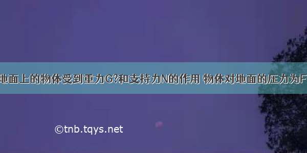 静止在水平地面上的物体受到重力G?和支持力N的作用 物体对地面的压力为F 则以下说法