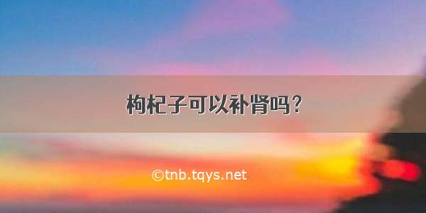 枸杞子可以补肾吗？