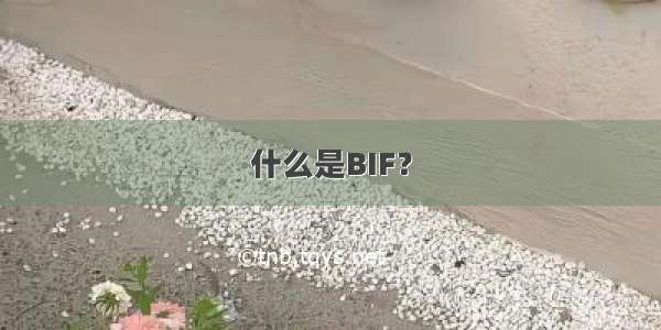 什么是BIF？