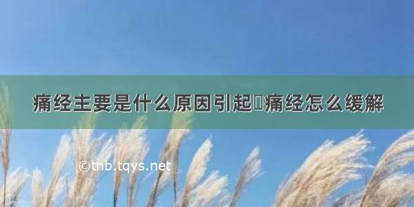 痛经主要是什么原因引起	痛经怎么缓解