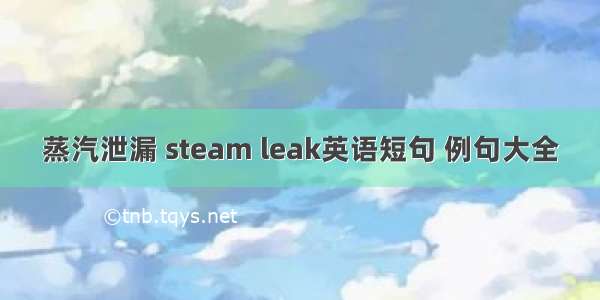 蒸汽泄漏 steam leak英语短句 例句大全