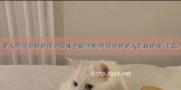 老人胯骨骨折护理心得体会和感想 胯骨骨折老人怎样护理(七篇)