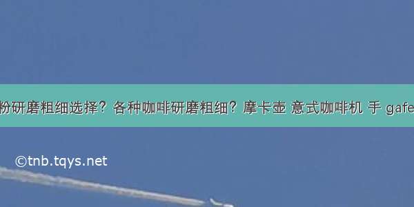 咖啡粉研磨粗细选择？各种咖啡研磨粗细？摩卡壶 意式咖啡机 手 gafei.com