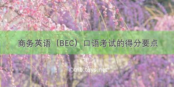 商务英语（BEC）口语考试的得分要点