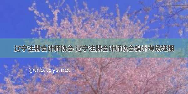 辽宁注册会计师协会 辽宁注册会计师协会锦州考场延期