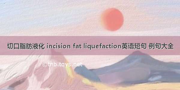 切口脂肪液化 incision fat liquefaction英语短句 例句大全