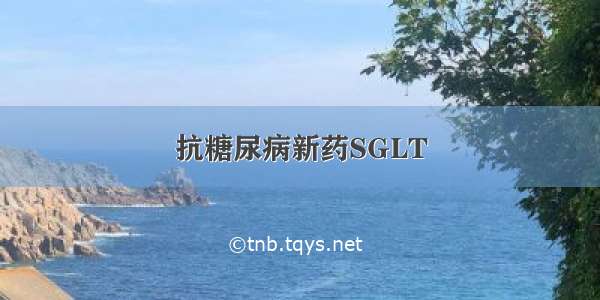 抗糖尿病新药SGLT