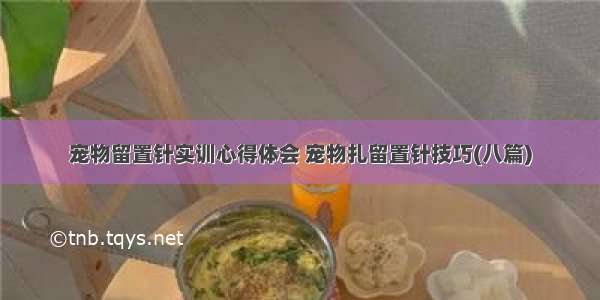 宠物留置针实训心得体会 宠物扎留置针技巧(八篇)