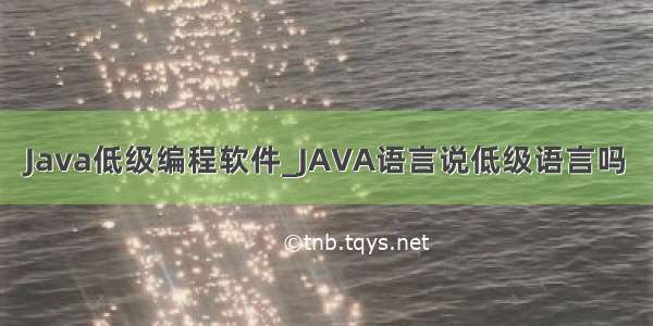 Java低级编程软件_JAVA语言说低级语言吗