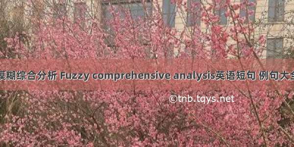 模糊综合分析 Fuzzy comprehensive analysis英语短句 例句大全