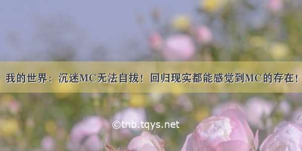 我的世界：沉迷MC无法自拔！回归现实都能感觉到MC的存在！