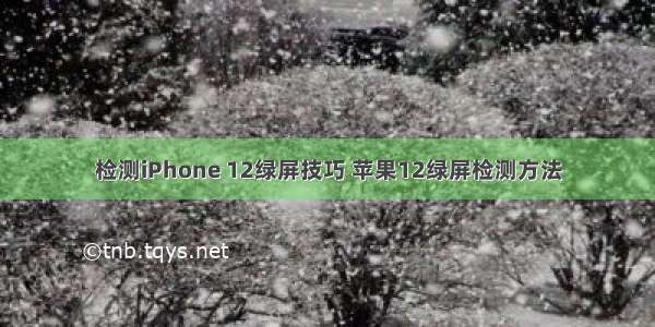 检测iPhone 12绿屏技巧 苹果12绿屏检测方法