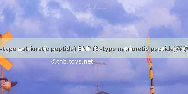 脑钠肽(BNP B-type natriuretic peptide) BNP (B-type natriuretic peptide)英语短句 例句大全