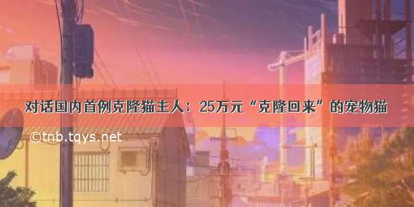 对话国内首例克隆猫主人：25万元“克隆回来”的宠物猫