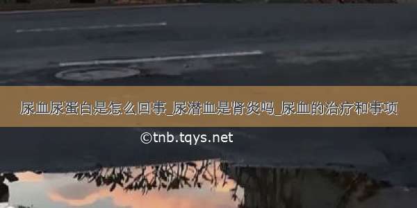 尿血尿蛋白是怎么回事_尿潜血是肾炎吗_尿血的治疗和事项