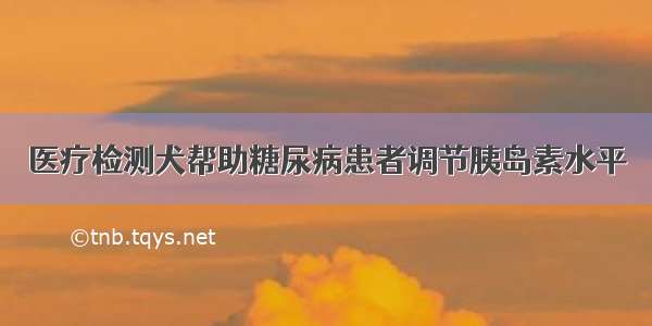 医疗检测犬帮助糖尿病患者调节胰岛素水平