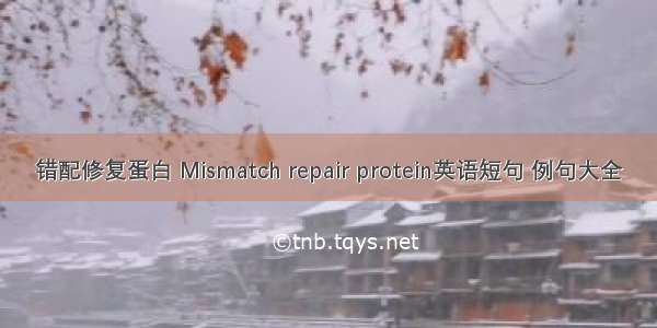 错配修复蛋白 Mismatch repair protein英语短句 例句大全