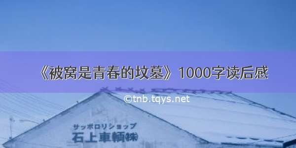 《被窝是青春的坟墓》1000字读后感