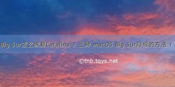 Big Sur怎么恢复Catalina ？三种 macOS Big Sur降级的方法 ！