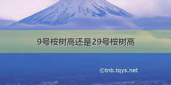 9号桉树高还是29号桉树高