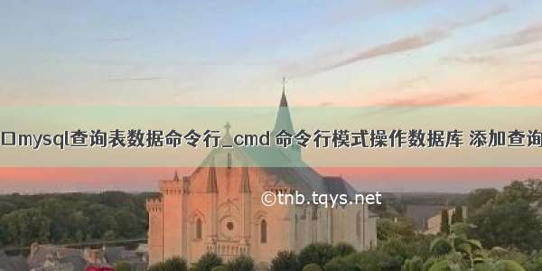 cmd命令窗口mysql查询表数据命令行_cmd 命令行模式操作数据库 添加查询 修改 删除