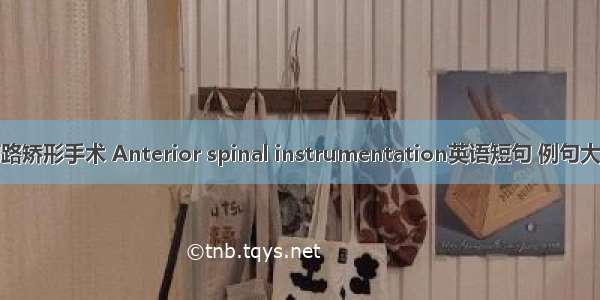 前路矫形手术 Anterior spinal instrumentation英语短句 例句大全