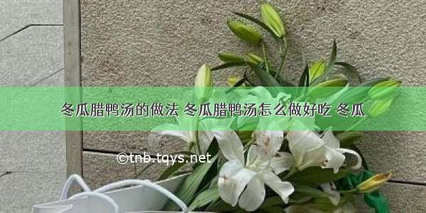 冬瓜腊鸭汤的做法 冬瓜腊鸭汤怎么做好吃 冬瓜