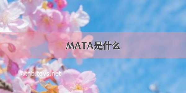 MATA是什么