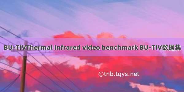 BU-TIVThermal Infrared video benchmark BU-TIV数据集