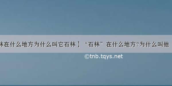 【石林在什么地方为什么叫它石林】“石林”在什么地方?为什么叫他“石林”