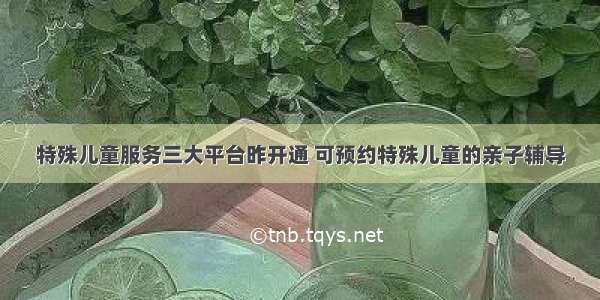 特殊儿童服务三大平台昨开通 可预约特殊儿童的亲子辅导