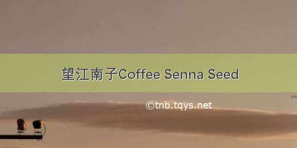 望江南子Coffee Senna Seed
