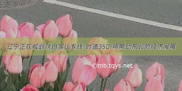 辽宁正在规划沈白客运专线 时速350 将带动东北的经济发展