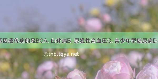 下列属于多基因遗传病的是BCA. 白化病B. 原发性高血压C. 青少年型糖尿病D. 先天性愚型