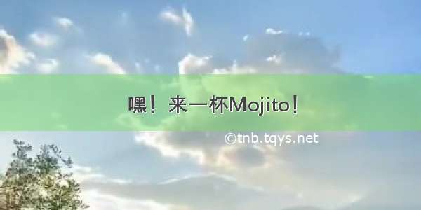 嘿！来一杯Mojito！