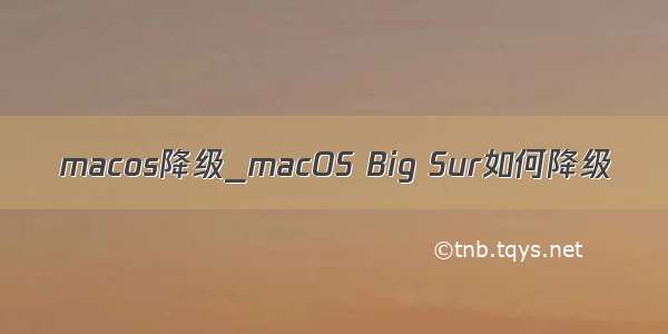 macos降级_macOS Big Sur如何降级