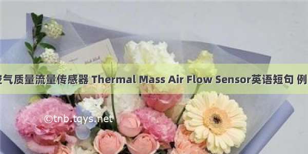 热式空气质量流量传感器 Thermal Mass Air Flow Sensor英语短句 例句大全