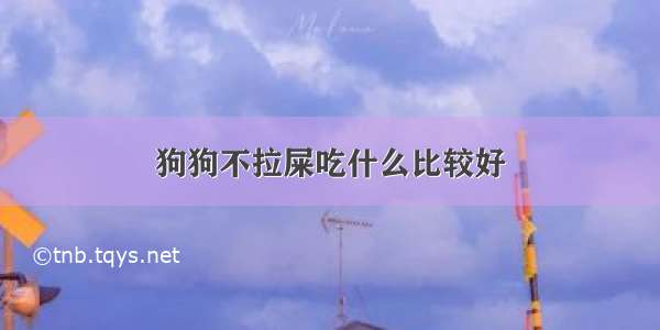 狗狗不拉屎吃什么比较好