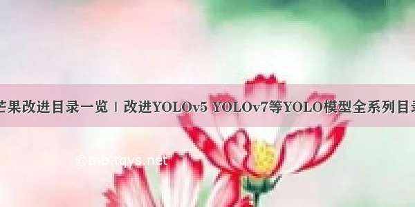 芒果改进目录一览｜改进YOLOv5 YOLOv7等YOLO模型全系列目录