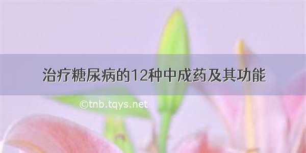 治疗糖尿病的12种中成药及其功能