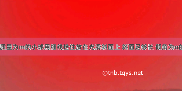 如图所示 质量为m的小球用细线拴住放在光滑斜面上 斜面足够长 倾角为α的斜面体置