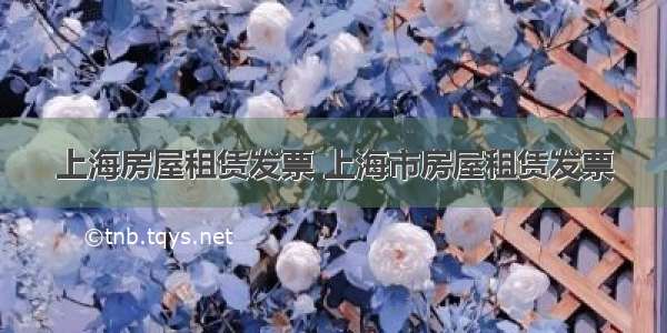 上海房屋租赁发票 上海市房屋租赁发票